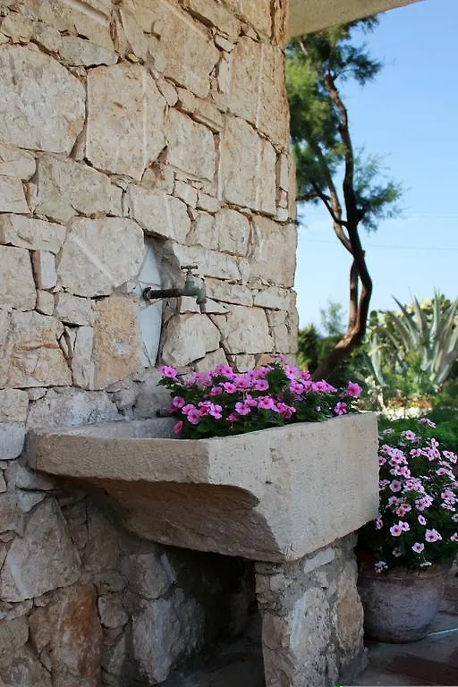 Bed & Breakfast Il Varo A Mare Punta Braccetto